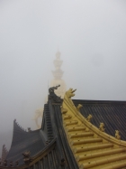 金頂